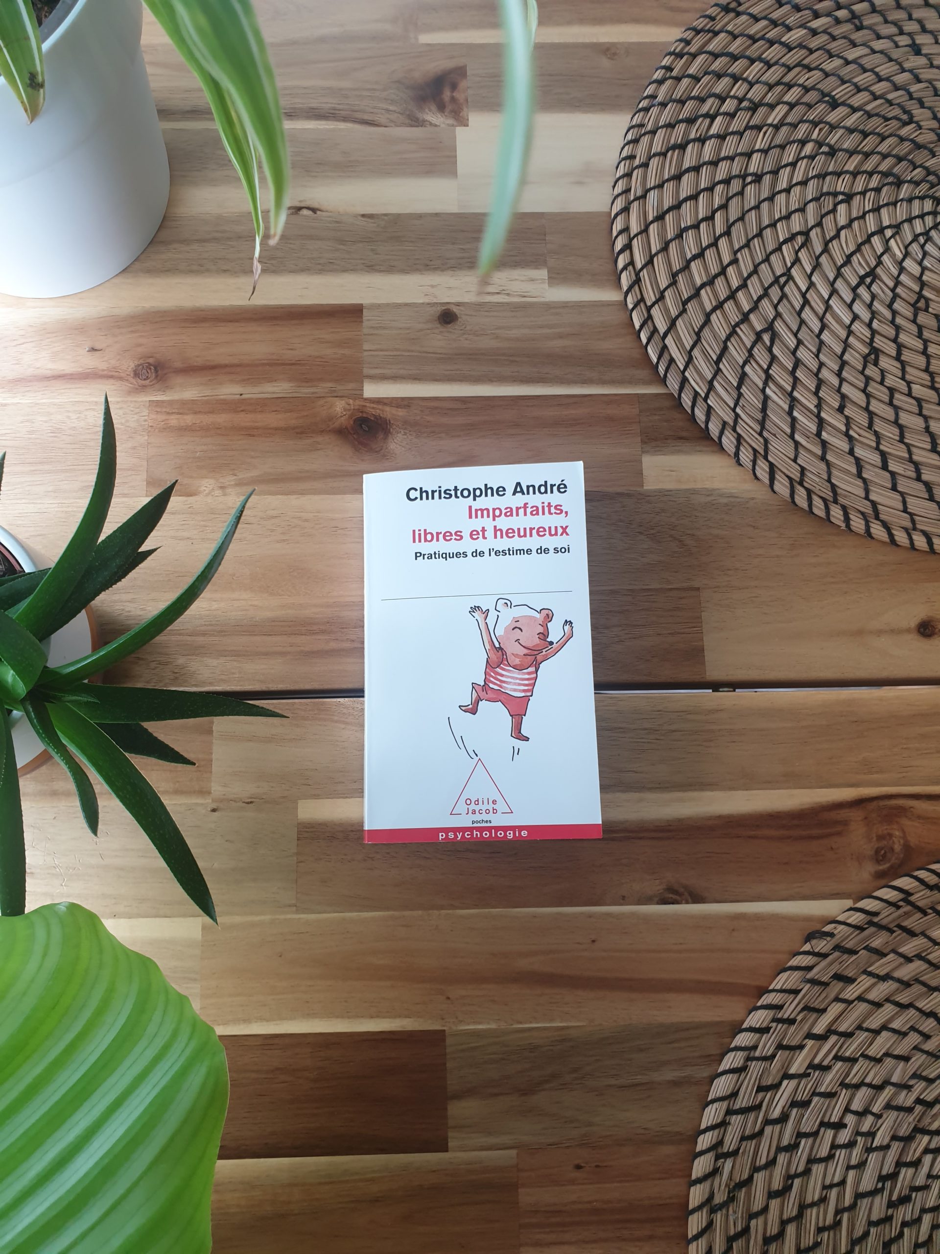 "Imparfaits, libres et heureux" de Christophe André — free download